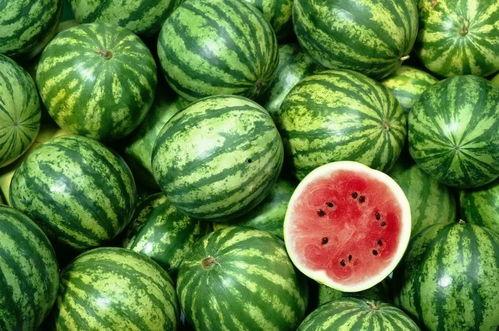 每日有料 吃瓜视频大全完整版观看,吃瓜视频大全，精彩瞬间一网打尽