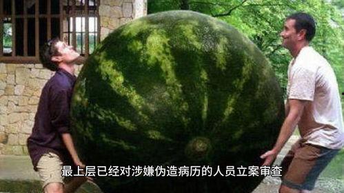 网络大瓜,揭秘娱乐圈幕后真相，带你走进明星隐私世界