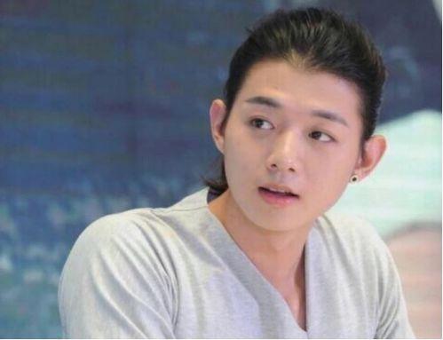 黑料是什么 木林森在线观看,木林森在线观看背后的真相与争议