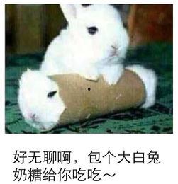 最近热门事件合集吃瓜兔